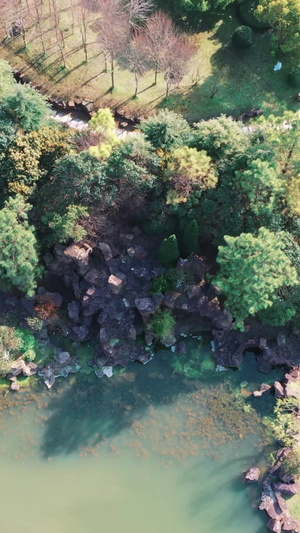 上海鲜花港春天植物茂盛旅游景点99秒视频