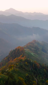 航拍安徽黄山歙县山峦日出风光视频艺术渲染视频