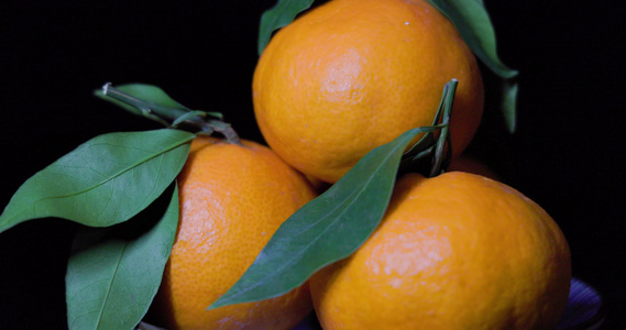 冲洗新鲜橙子柑橘桔子吃水果合集诱人 4K视频