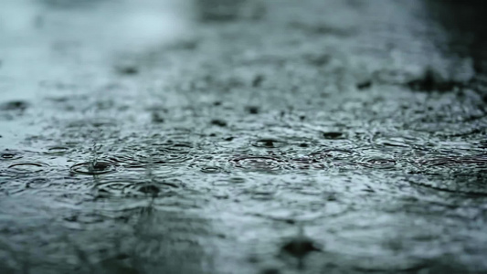 高清雨水雨滴春雨升格视频