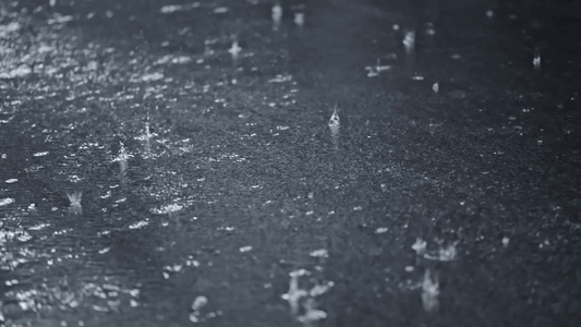 高清雨水雨滴春雨升格视频