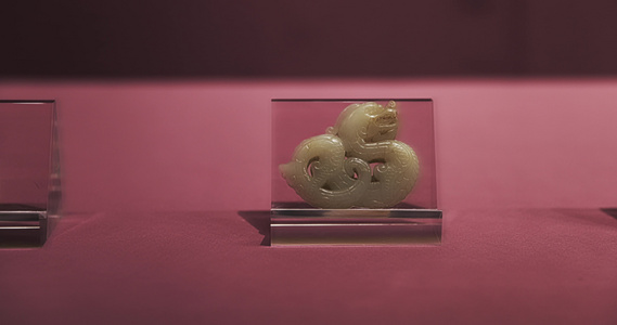 南京瞻园展出的龙形玉器视频
