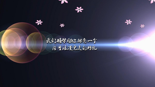 唯美光效婚礼婚庆语音开场会声会影X10模板视频