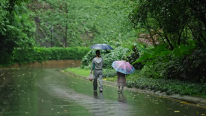 高清下雨人文意境亲子背影升格55秒视频