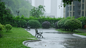 4k下雨春雨谷雨雨水意境空镜头19秒视频