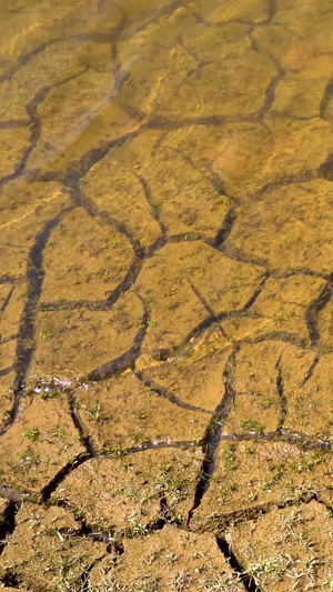 实拍灌溉干枯开裂的大地久旱逢甘霖25秒视频