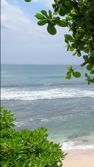 海边蓝天碧海礁石绿树高清10秒视频