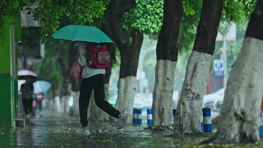 4k下雨雨天小学学生上学放学背影视频