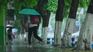 4k下雨雨天小学学生上学放学背影26秒视频