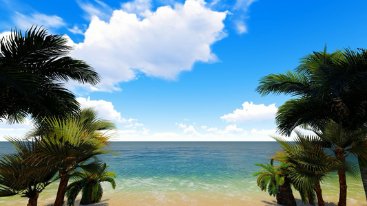 蓝天白云唯美椰子树沙滩视频