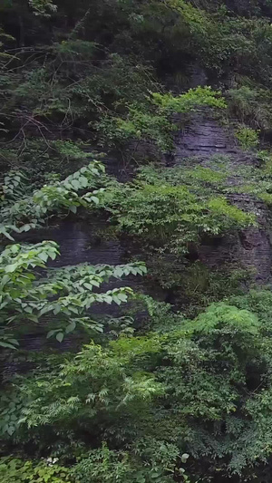 航拍风雨桥瀑布25秒视频