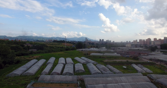 4K航拍大棚蔬菜种植基地视频