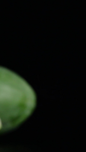 木瓜新鲜水果切木瓜高清木瓜29秒视频