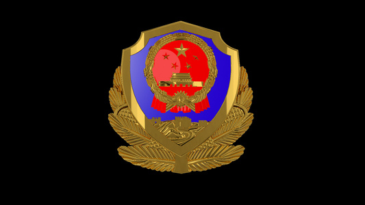 三维党政警徽徽章视频