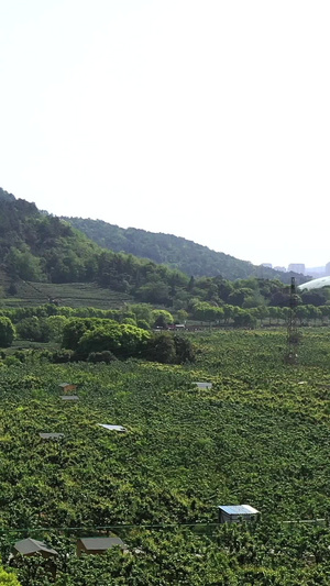 航拍苏州树山度假旅游村63秒视频