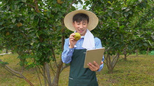 果农直播卖水果视频