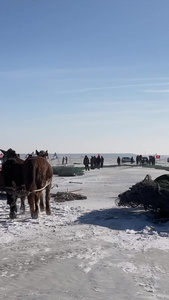 吉林松原查干湖冬捕活动自然风光视频