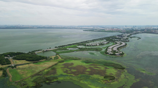 苏州阳澄湖湿地风景区航拍视频