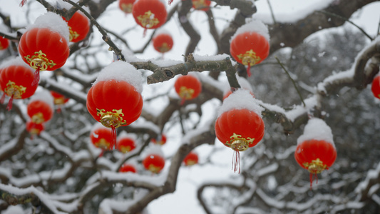 大雪中的红灯笼升格空镜视频