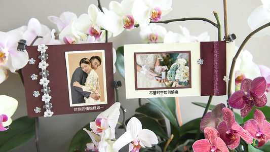 婚礼花朵相册相框浪漫回忆爱情婚礼开场AE模板视频