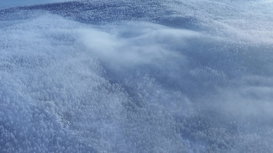 航拍大兴安岭森林雾凇云海翻腾景象视频素材原创版权所有欢迎使用视频