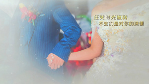 浪漫的丝绸婚礼相册30秒视频