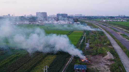 农村焚烧垃圾视频