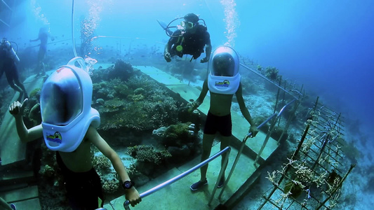 印尼美娜多海底漫步视频