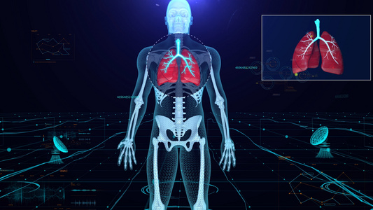 科技感人体骨骼三维展示视频