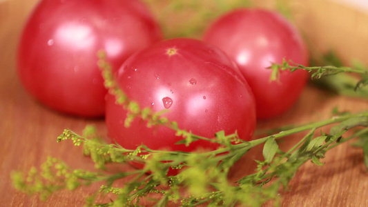 夏季番茄西红柿蔬菜视频