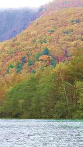 日本阿尔卑斯山上高地秋天风景视频