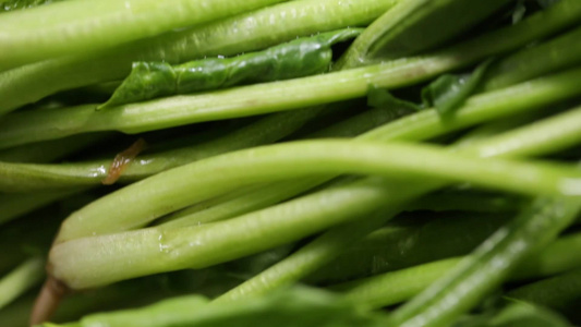 新鲜蔬菜时蔬菠菜健康视频