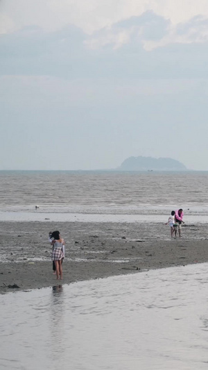 厦门会展沙滩海水退潮赶海55秒视频