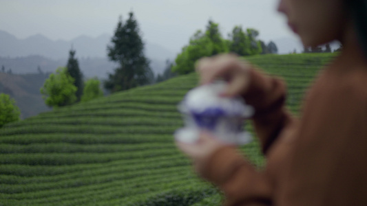 4K实拍茶园茶叶宣传片镜头泡茶喝茶写意视频素材视频