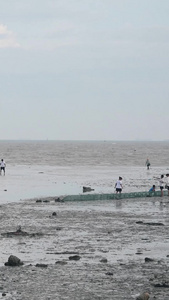 厦门会展沙滩海水退潮赶海视频