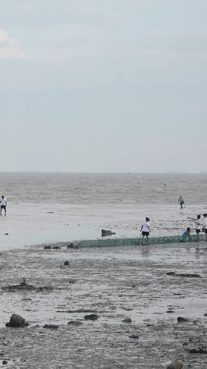 厦门会展沙滩海水退潮赶海55秒视频