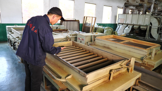制茶工人茶叶加工厂加工车间机械生产机械化产茶视频