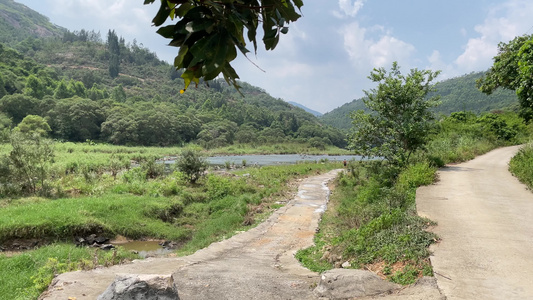 小溪小溪流水 河水 视频