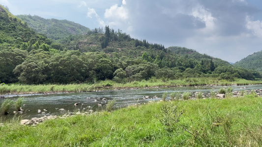 小溪小溪流水 河水 视频