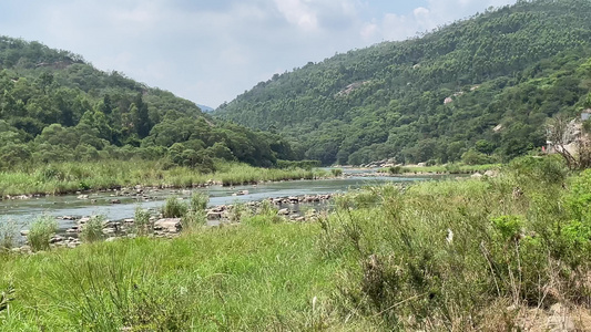 小溪小溪流水 河水 视频