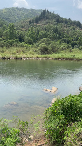 小溪小溪流水 河水 视频