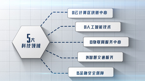 简约大气商务组织结构展示24秒视频