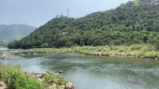 小溪小溪流水 河水 视频