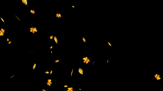 秋叶枫叶飘落带通道视频