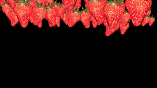 水果草莓镜头带通道视频
