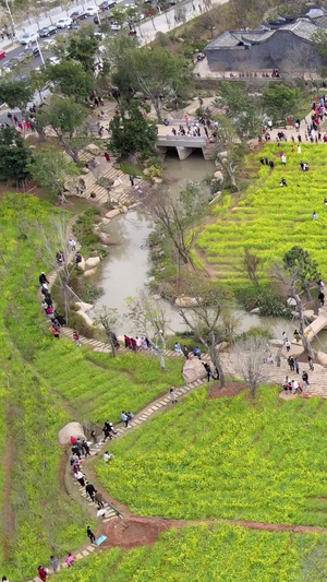 福州梁厝民俗村航拍春天里的油菜花地村庄34秒视频