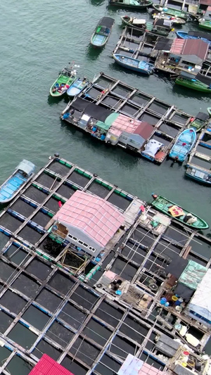 海南陵水疍家鱼排渔民船只穿梭航拍海上渔村56秒视频