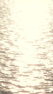 夕阳黄昏下波光粼粼湖面鸭子游过空镜头视频