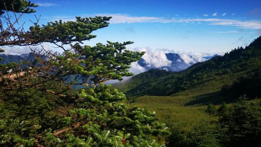 湖北神农架5A景区实拍视频