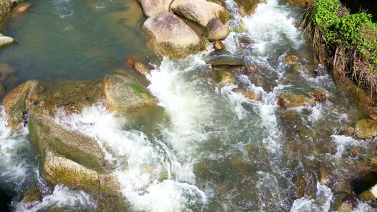 阳光下的海南热带雨林森林溪流溪水泉水流动慢动作视频